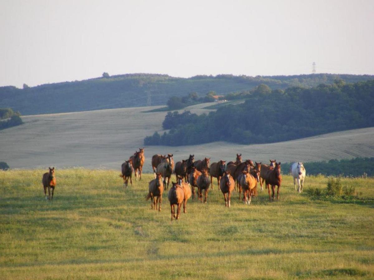 Gidran Villa Gyurus Buitenkant foto